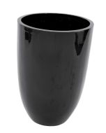 EUROPALMS LEICHTSIN BOX-50, glanzend bruin