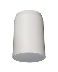DAP HS-510P 10W 5" Hanging Speaker