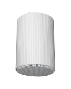 DAP HS-510M 10W 5" Hanging Speaker
