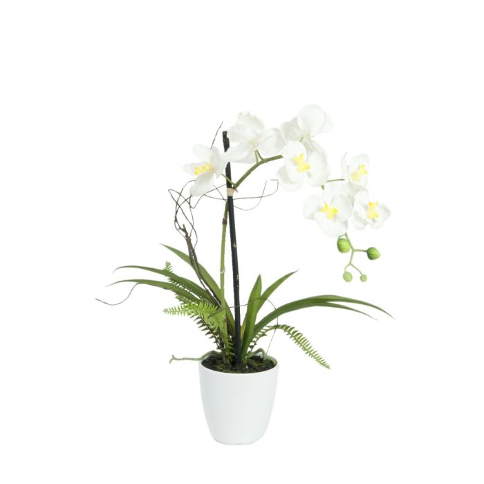 EUROPALMS Orchideeënarrangement 1, kunstmatig