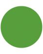 Showgear Colour Roll 122 x 762 cm Varengroen 