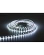  -  - 
