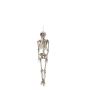 EUROPALMS Haloween Figure Skeleton moldable, animated, 160cm