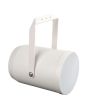 DAP PSU-620P 20 Watt 6" Unidirectional projector speaker