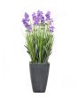 EUROPALMS Lavendel, kunstplant, paars, in pot, 45cm