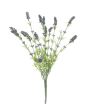  Features

Lavender bush, tall

    Color: green-purple
    With 13 flowers
    Positioning: without
    With approx 13 beautifully flowers

Technical specifications
Color:	Purple
Material:	PE ND polyethylene
Flowers:	Pieces: ca. 13 pc/pcs
Le