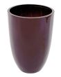 EUROPALMS LEICHTSIN CUP-69, glanzend bruin